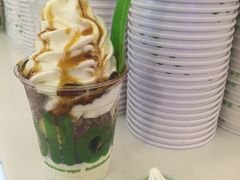 -Salud撒露欧洲冻酸奶(蓝色港湾店)