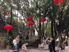 -船政文化景区-罗星塔公园