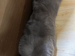 -仁华宠物医院(青羊店)