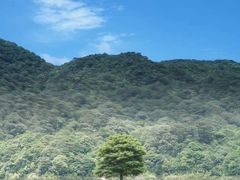 -广州市石门国家森林公园