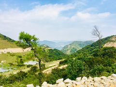 -大姆山草场