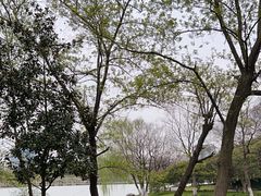 -白塘生态植物园