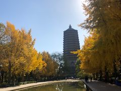 -玲珑塔公园