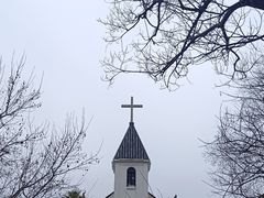 -东方绿舟景区