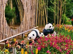 -沈阳植物园