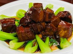 -丁老爷子苏香圆