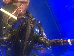 -蟹之国·精品蟹料理(极地店)