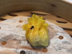 -点都德·毕德寮