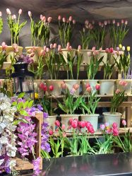 点击看大图 -Zoolung Zoolung动物主题公园(海信广场店)