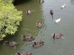 -长白岛森林公园