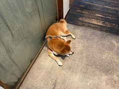-三目仓咖啡(贤南路店)