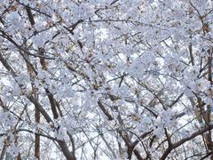 -杨高南路(地铁站)