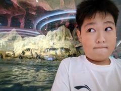 -帝企鹅自助餐厅•儿童岛•真企鹅(长隆企鹅酒店)