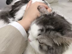 -贝利宠物医院·骨科·眼科·肿瘤转诊中心(南坪诊疗中心)