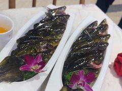 -鱼乐火锅(清江国际店)