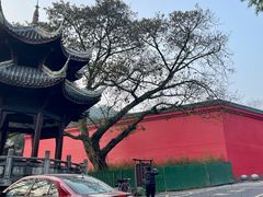 -峨眉山报国寺