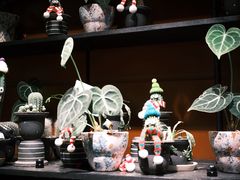 -陶缘陶瓷工厂店