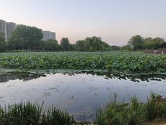 -咸阳湖景区