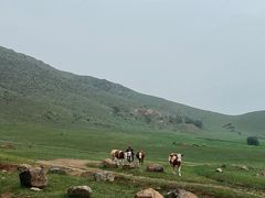 -石条山