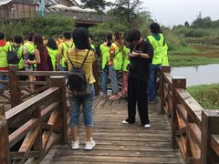 -桤木河湿地公园