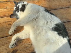 -北马山庄植趣咖啡