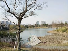 -尚贤河湿地