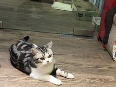 -小时光咖啡馆(开森度假森林店)