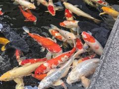 -聚福宝合苑食府(南头镇店)