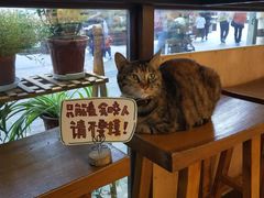-猫的天空之城概念书店(杭州南宋御街店)