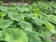 -齐岸健身(花园城店)