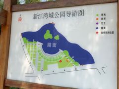 -新江湾城公园