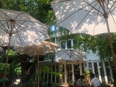 -Fern Forest Cafe