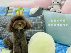 -你好独角兽·蛋糕甜品