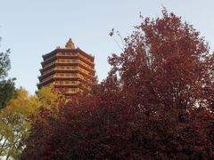 -玲珑塔公园