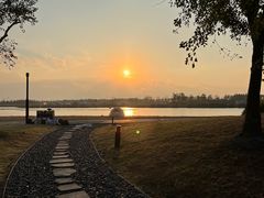 -春花秋色城市公园