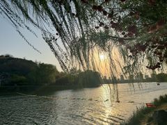 -河北省园博园
