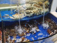 水产区-海景壹号大酒店(滨湖店)