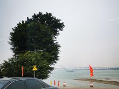 -八仔大富楼·河鲜(西江店)