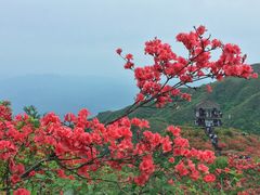 -大围山国家森林公园