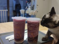 -啵啵喵·猫咖(攀华国际店)