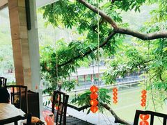 -侨美·唐荔园·40年地道粤菜