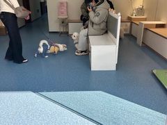 -泰洋动物医院·神经专科·磁共振·CT(天河公园总院)