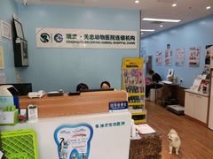 -瑞派·关忠动物医院·异宠专科·犬猫肿瘤·皮肤专科(望京店)