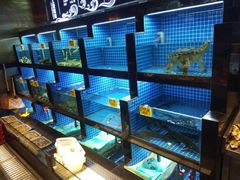 水产区-徽三说·土徽菜·中国徽菜连锁品牌(一中店)