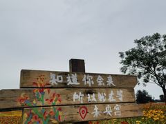 -汉长安城未央宫国家考古遗址公园