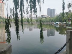 -文瀛公园