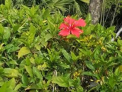 -白沙门生态公园