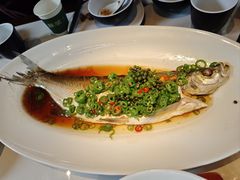-绿茶餐厅(龙井船宴· 品牌总店)