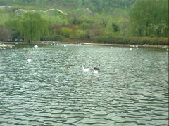 -西安秦岭野生动物园