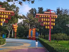 -青龙湖公园